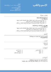 نموذج سيرة ذاتية احترافي باللغة العربية