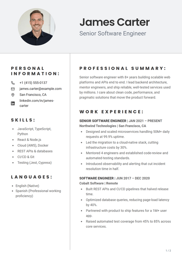 Pewter — CV template
