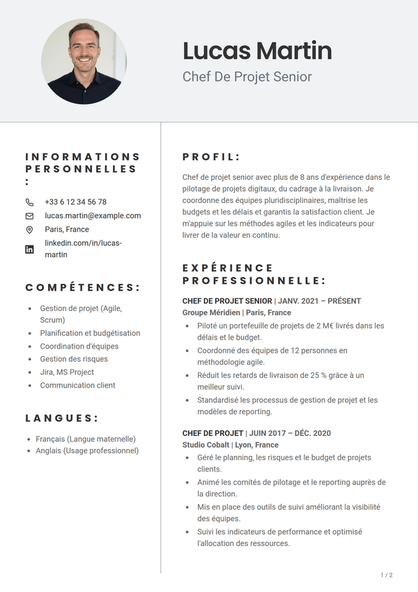Pewter — modèle de CV
