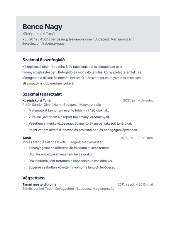 Slate — önéletrajz sablon