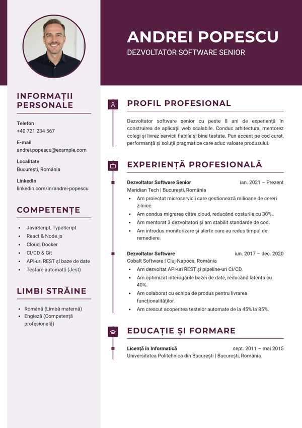 Plum — model de CV