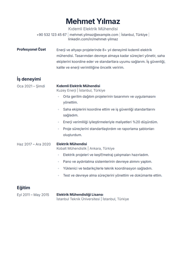 Ledger — CV şablonu