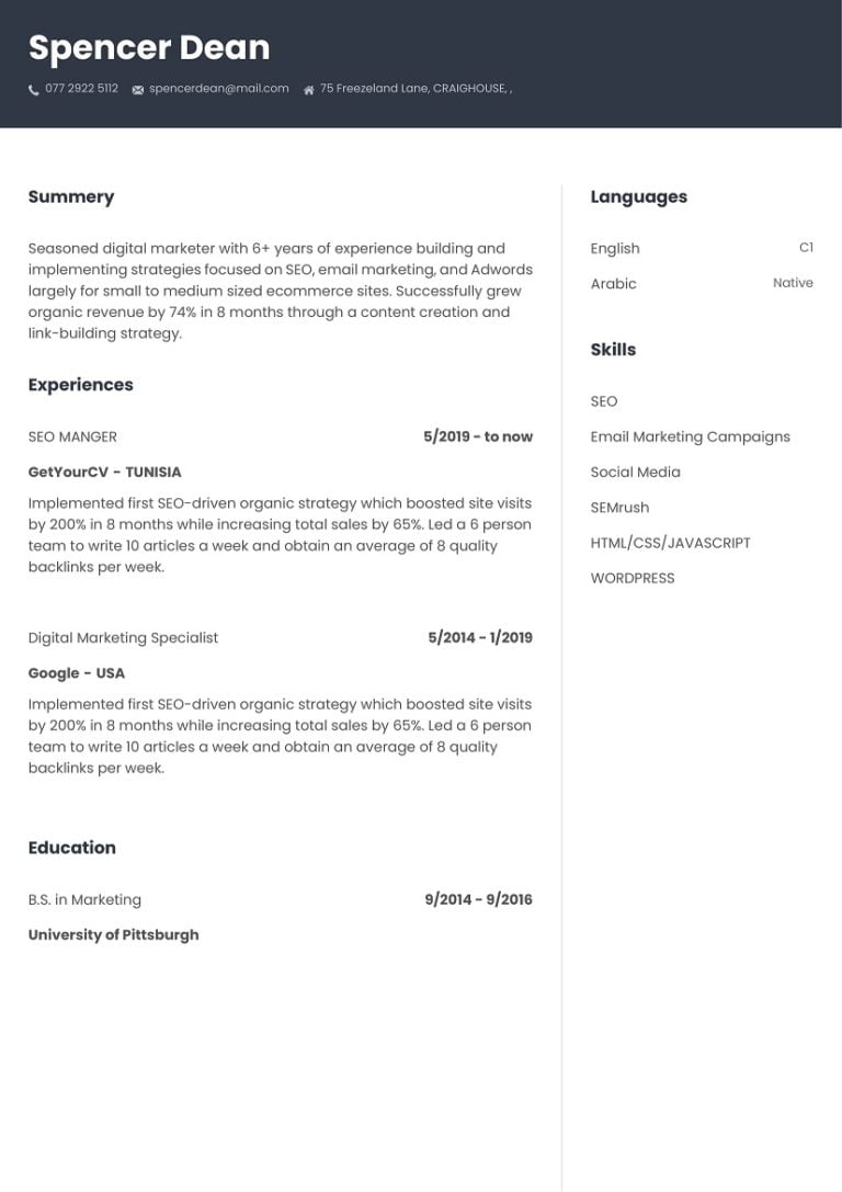 free cv maker pdf free cv maker pdf