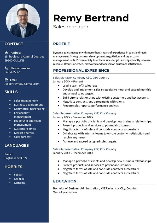 Professional CV template word