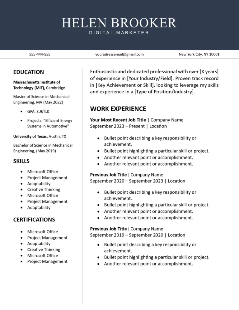 professional resume format with two side