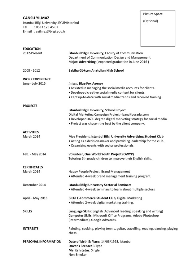 İngilizce CV örneği